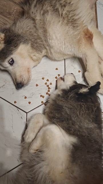 Невзначатый жрулинг