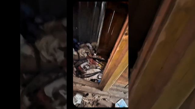 В Поисках Вдохновения
