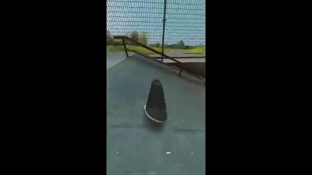 Insane True Skate Tricks!