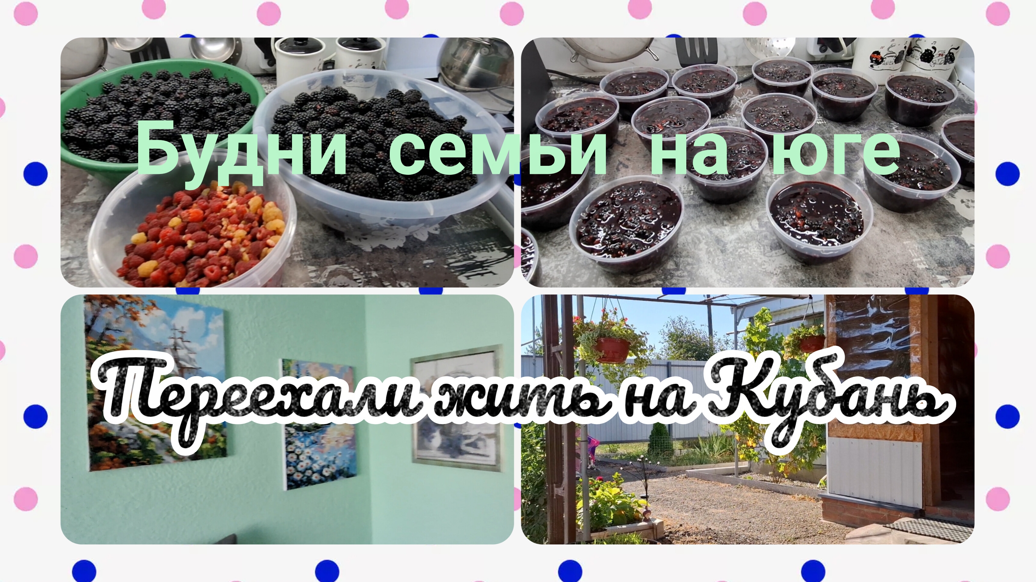 03-09-2026/ Ежевику собрали/ Варенье из малины и ежевики/ Картины дочки/ Живём и работаем на Кубани/