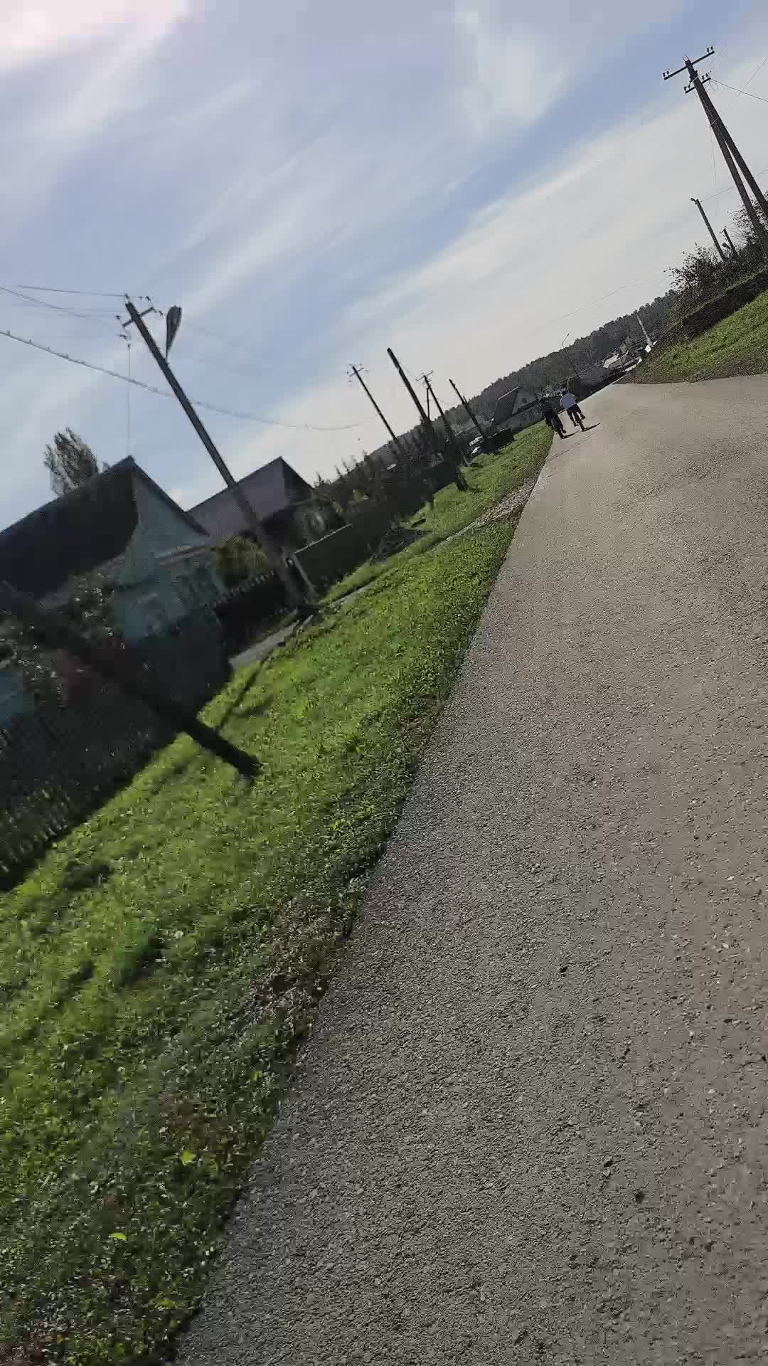 ве
