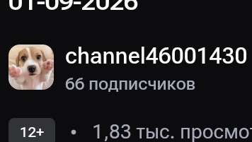 встретил популярную блогершу