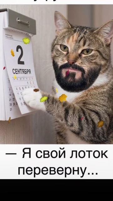 🤷😸😸😸