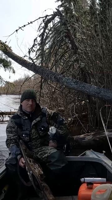 Подготовка к охоте на медведя.