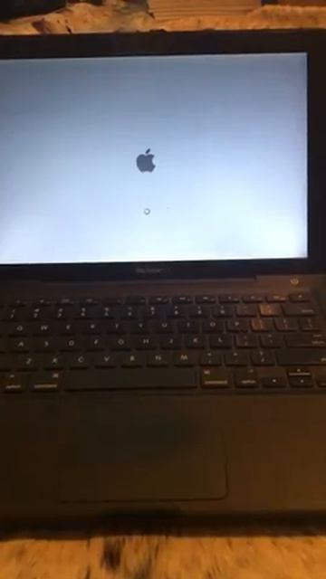 Apple MacBook Startup