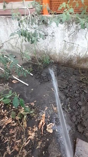 Полив огорода