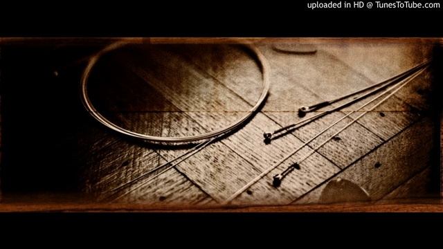 Phosphor Bronze Vs. Bronze (Martin SP Lifespan Strings)