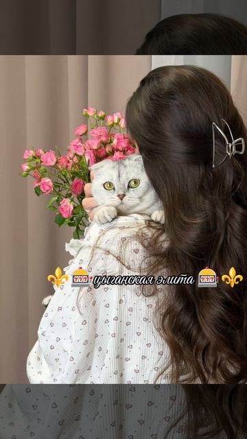 новая цыганска🧚♂️🍃я песня ALEK смелая🐥