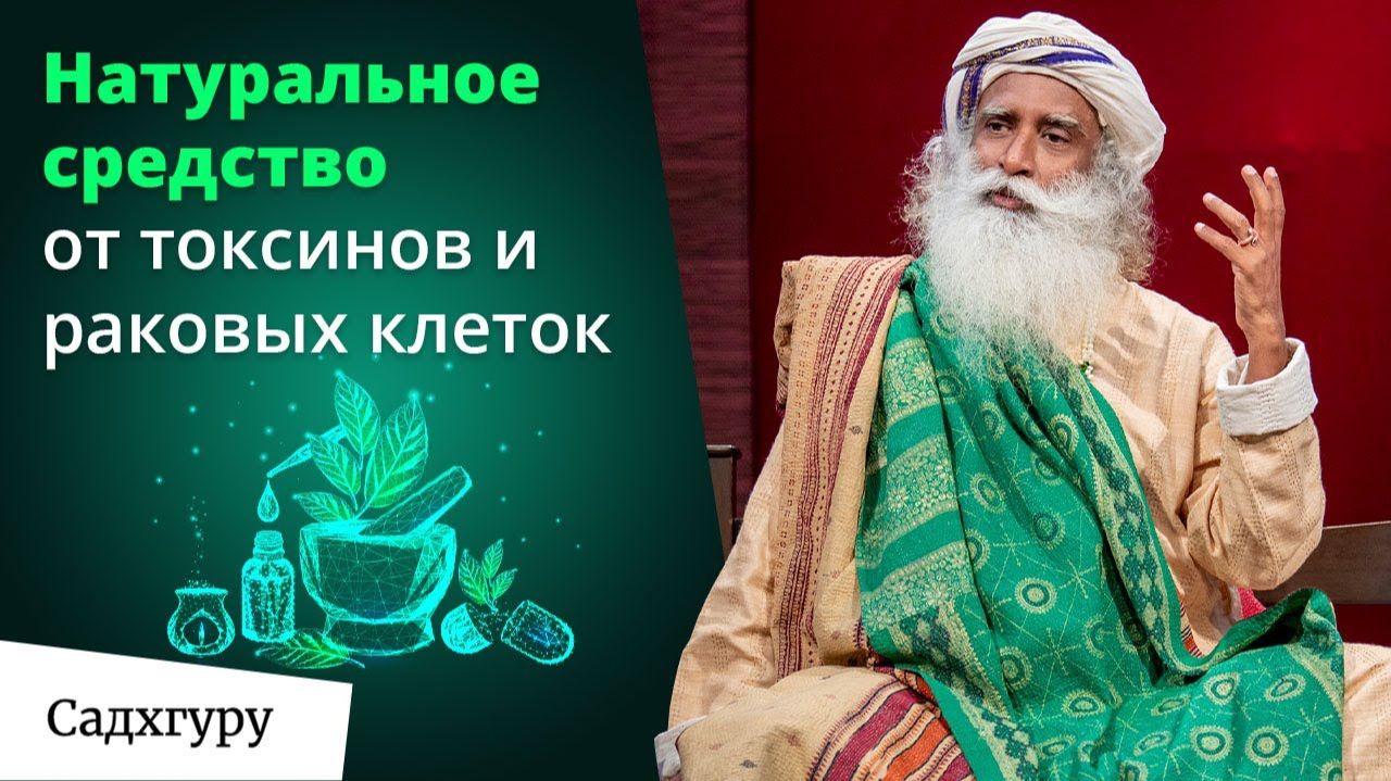 Как все время быть бодрым и энергичным и не засыпать на ходу?