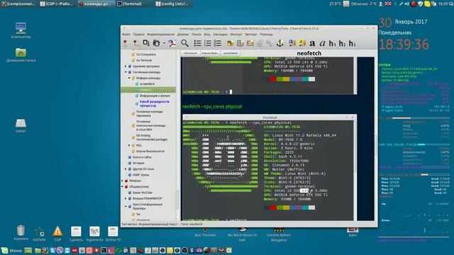 Neofetch - терминальная утилита для вывода информации о системе.