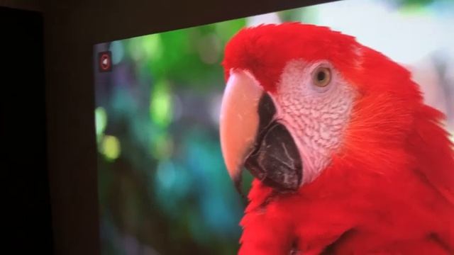 FULL HD ПРОЕКТОР С 4К TouYinger Q11