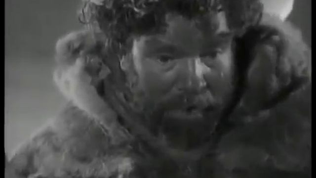 S.O.S. Айсберг