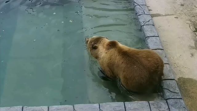 Открытие грота.
