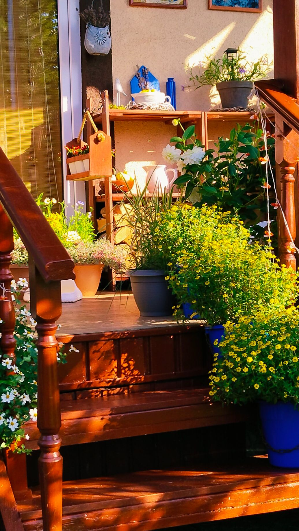 Наш уютный уголок в этом мире 🌿🏡✨