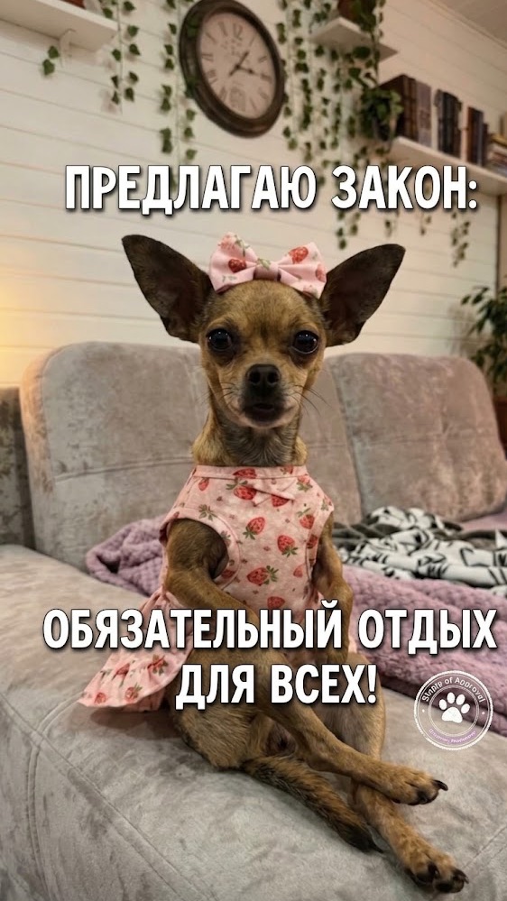 Закон об отдыхе