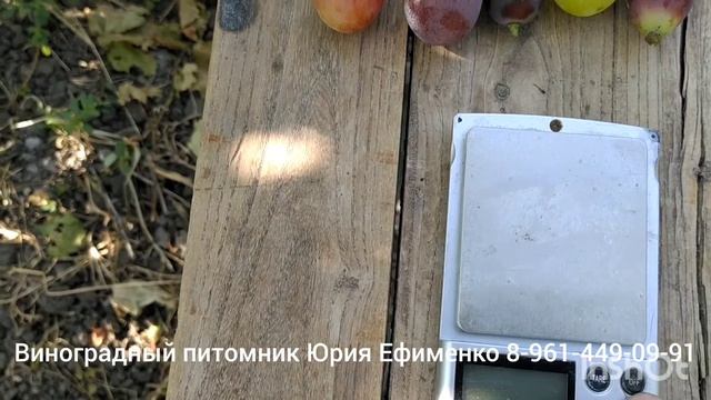 Мистер Икс
