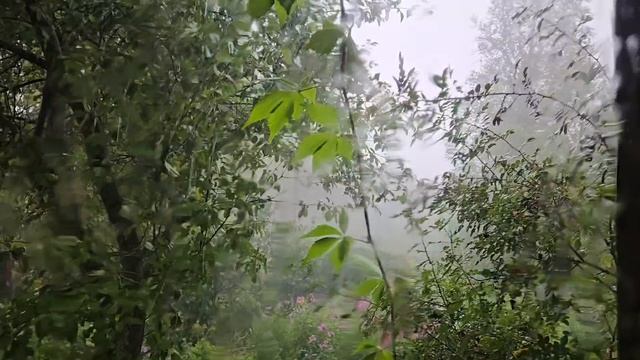 В  Совином Доле, буйство стихии и красивая древесина