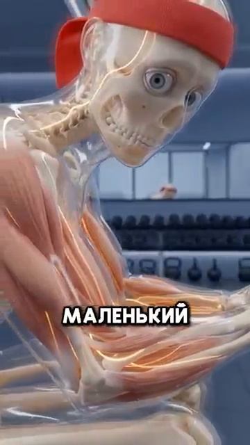 Что произойдет с твоим телом если каждый день сжимать кистевой эспандер