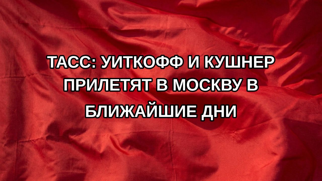 ТАСС: Уиткофф и Кушнер прилетят в Москву в ближайшие дни