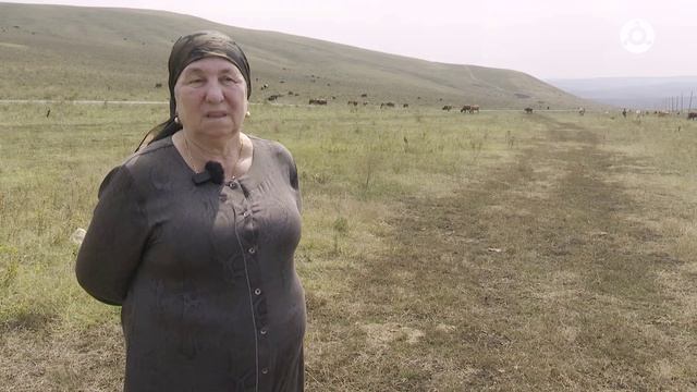 Сельский час. КФХ 