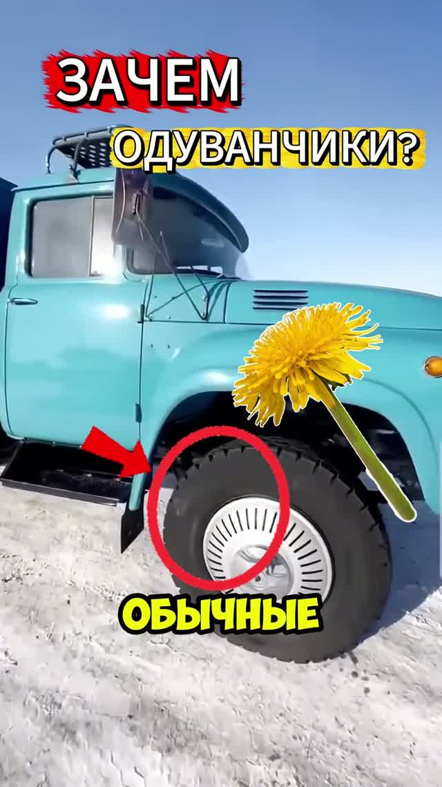 Зачем шинам нужны одуванчики?