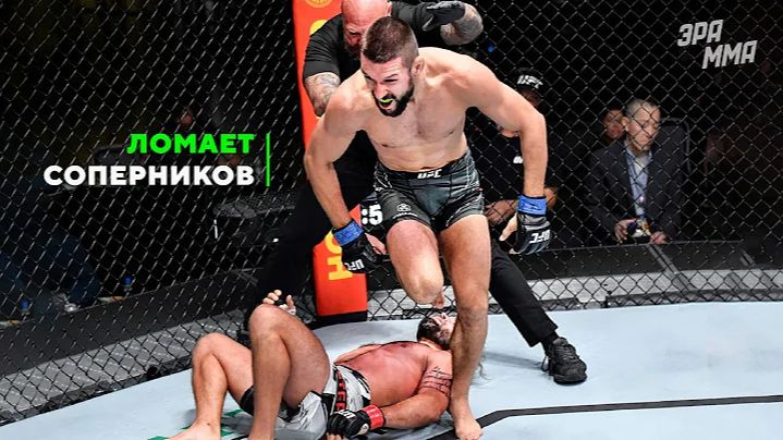 Матеуш Гамрот: Главная Угроза в Легком Весе UFC?