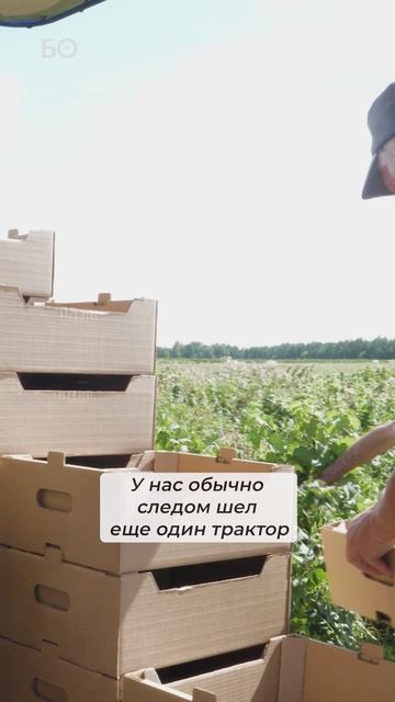 Как выглядит первый в мире дрон для сбора ягод#дрон#сбор#ягод