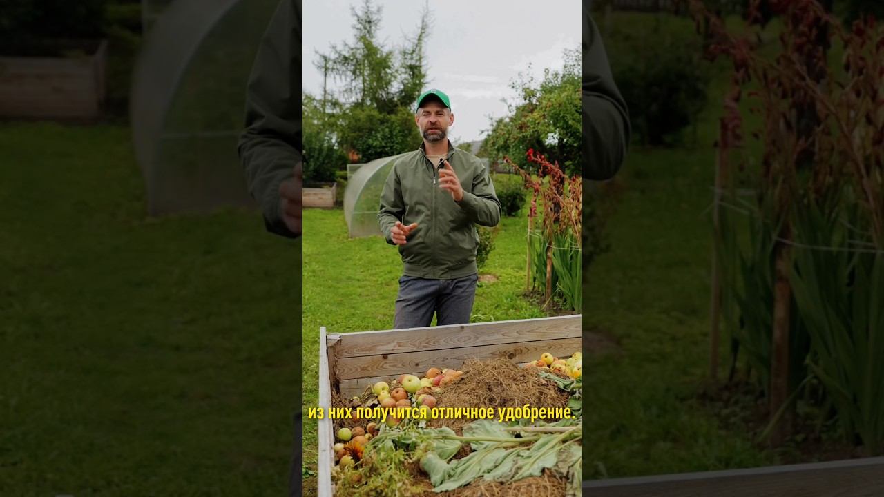 Горы рассыпчатого компоста абсолютно бесплатно и всего за месяц! Даже гнилые яблоки не выбрасываю