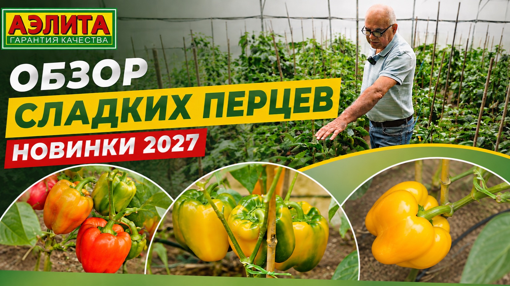 Перец сладкий