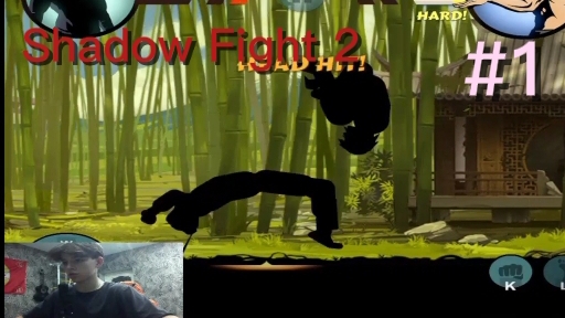 Shadow Fight 2 #1