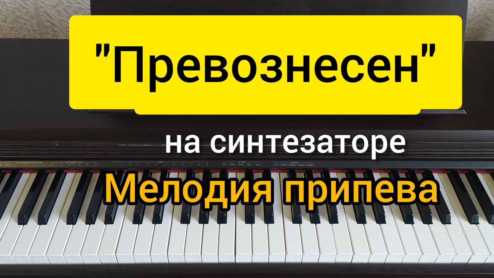 Видео разборы песен