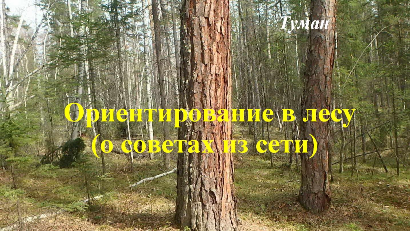 Ориентирование в Восточной Сибири. Особенности