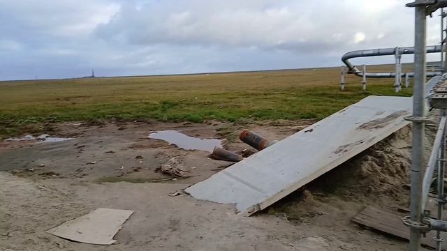 Гуси Ямала.