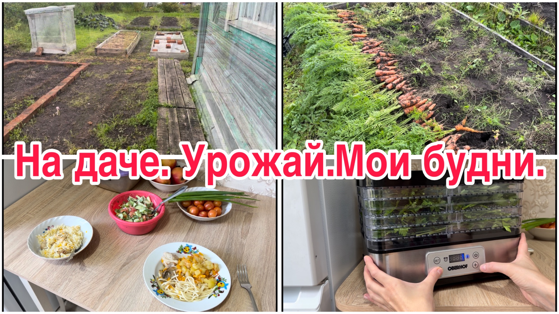 На даче// Урожай// Мои будни