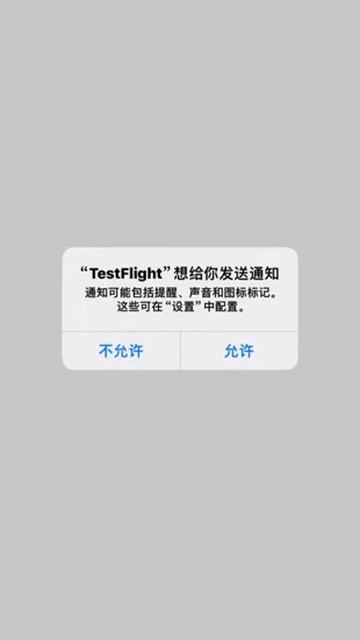 IOS Testflight User Guide In CN