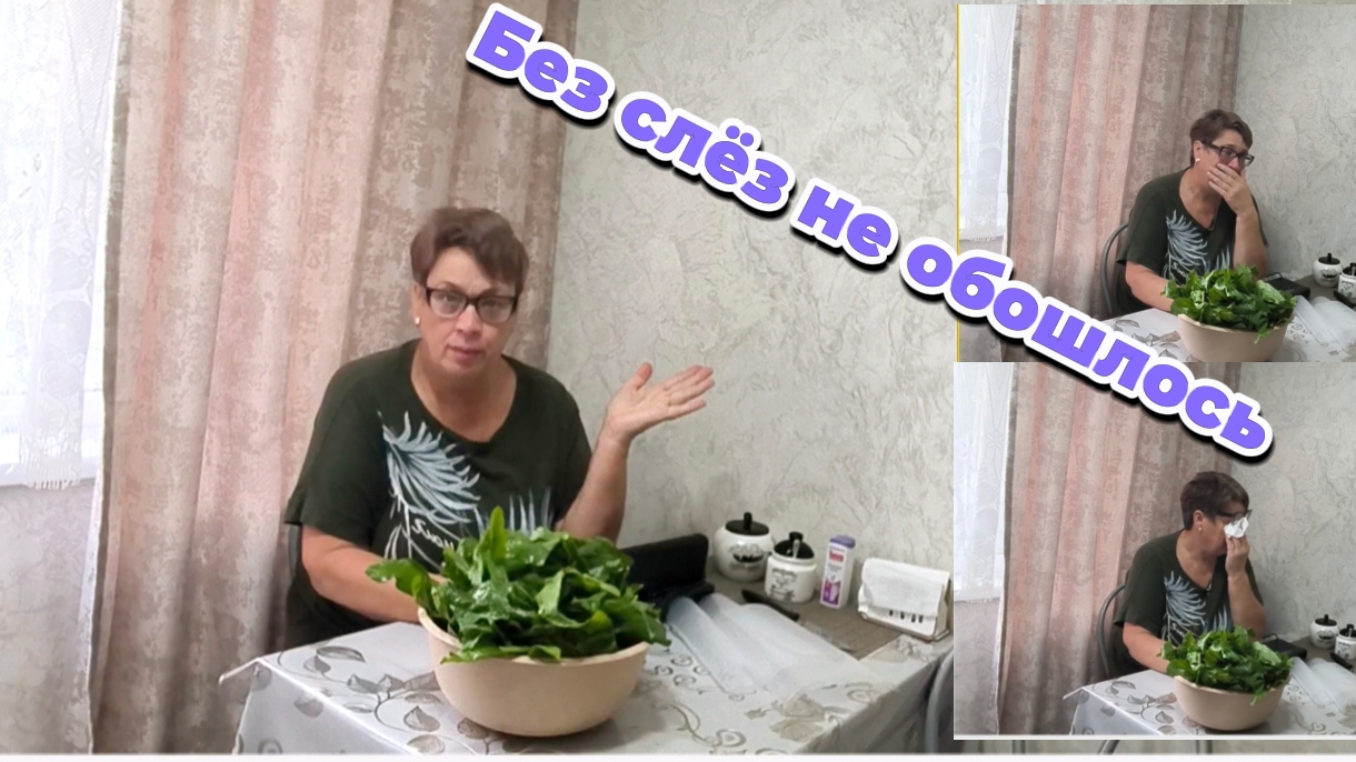 04-09-2026 Приехали в квартиру.Без слёз не обошлось.