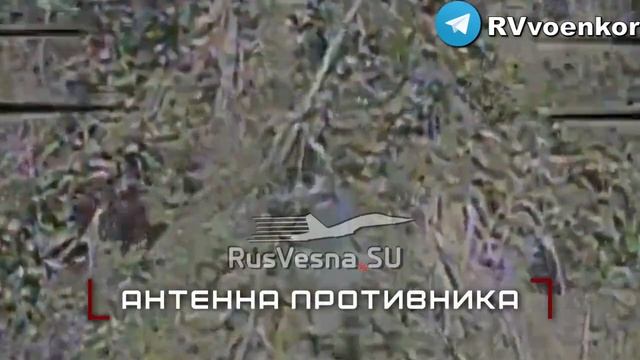 🇷🇺💥 Кадры боёв: бойцы «Центра» уничтожают пехоту и технику врага в боях за Красноармейском и на Д