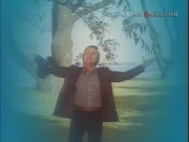 Яблони в цвету