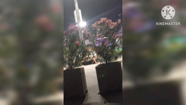 мы родились в Сибири//пухнут с голода//обзор канала