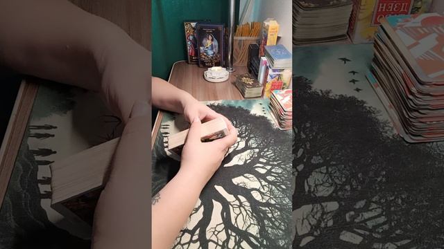 Сегодня о нем 🕊