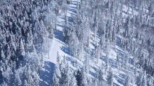 ❄ 10 HOURS Of Beautiful Winter Scenes /Amazing Nature Scenery & The Best Relax Music #1