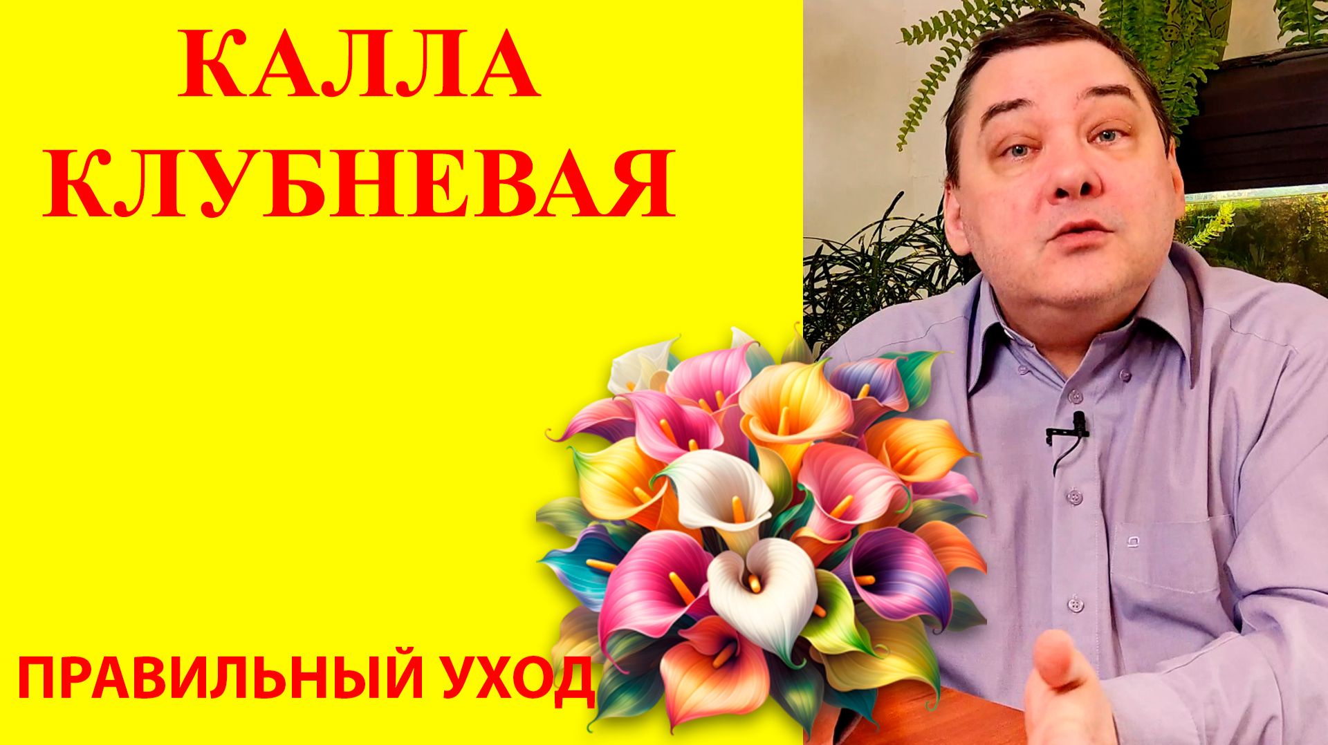 Цветущие растения