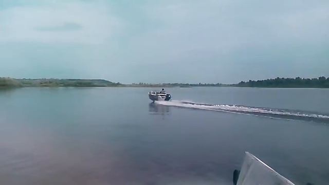 Wyatboat 430 Dcm