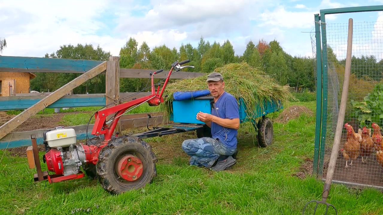 Встречаем осень на мини-ферме! Рекордный урожай картофеля и коровнику ровно 1 год