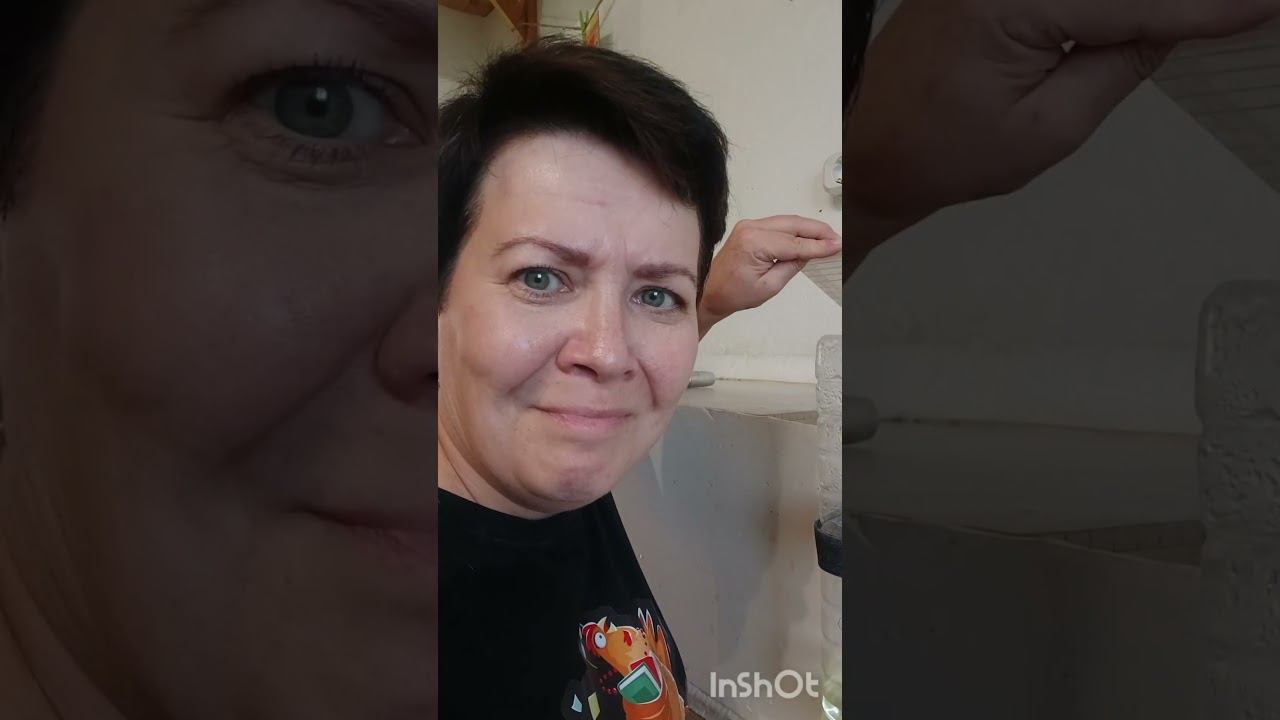 сегодня - из каждого инкубатора страны  #3сентября #шуфутинский #прикол #подворье #инкубатор