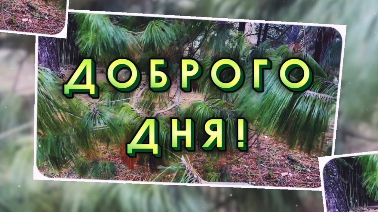Хорошего дня! Отличного настроения!
