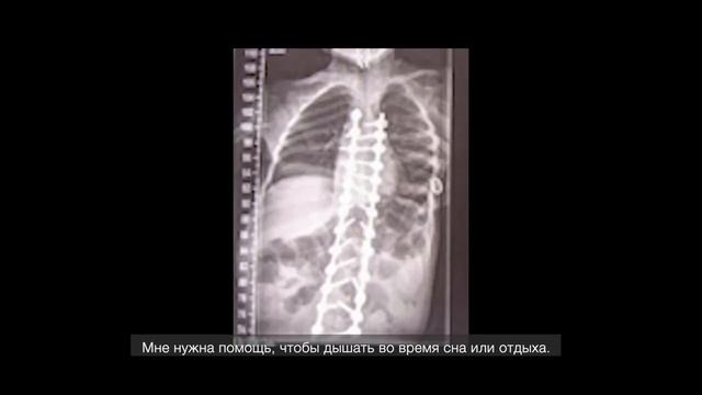 Материалы партнеров