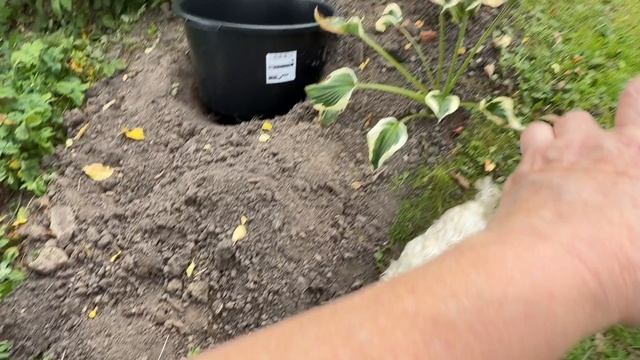С Любовью от Любаши для Любочки 😂. Всё могут короли и не только. Шашлык любит женские руки.