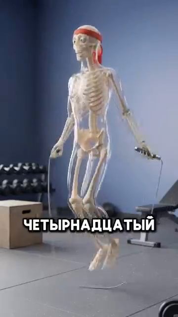 Что будет если прыгать на скакалке каждый день