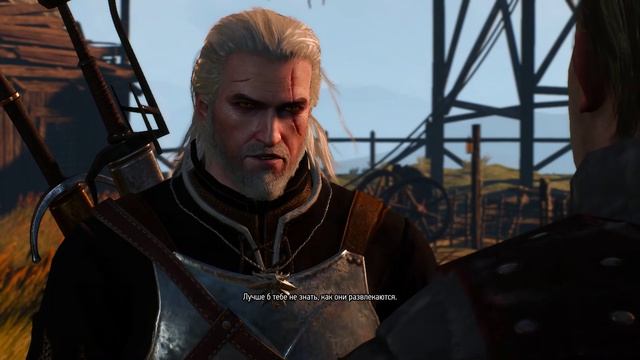 The Witcher 3 Конюх спросил Геральда 🥷🥷🥷как ❓❓развлекаються ведьмаки 🐸🐸